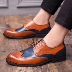 Brown Blue Lace Up Pointed Head Wing Tip Mens Oxfords Dress Shoes
